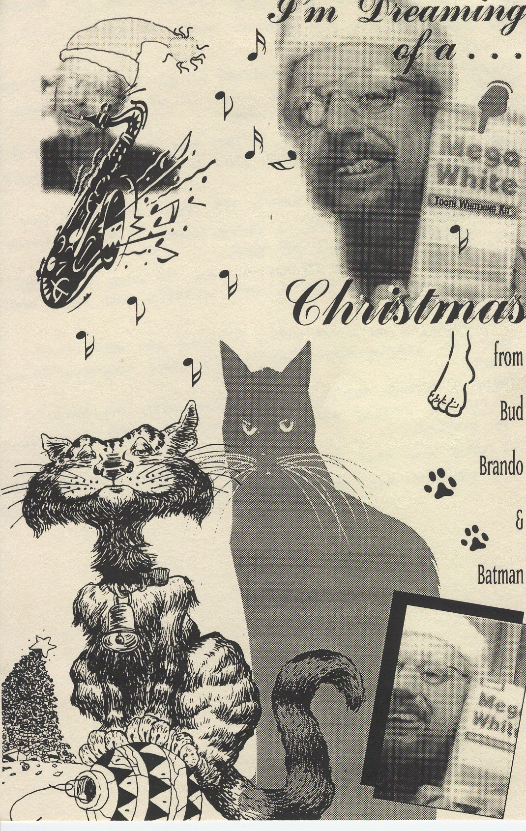 Doug Bernstein is a charter member of Citydogs and one of the many St. Francis's of the City of St. Francis. Doug has fed, sheltered, doctored, spayed, neutered, and found homes for dozens of lost or abandoned cats and dogs in the South of Market area. 